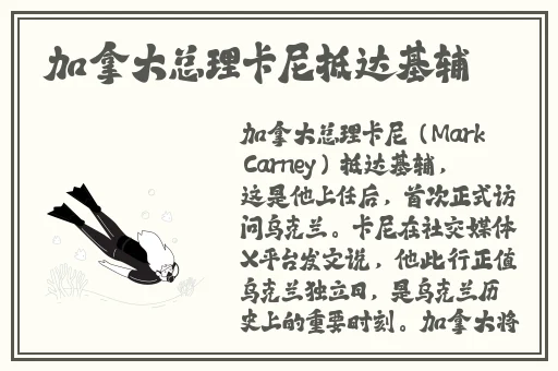 天美麻花豆产品